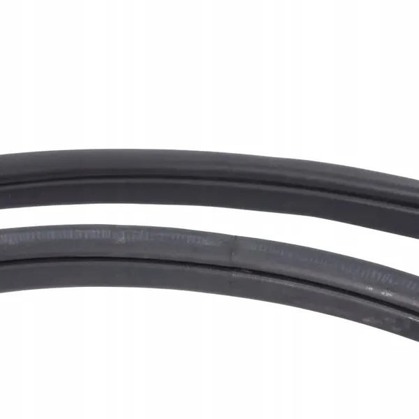 Junta puerta trasera izquierda Ford Ranger Wildtrak Mk6 OEM 1923756 image 5