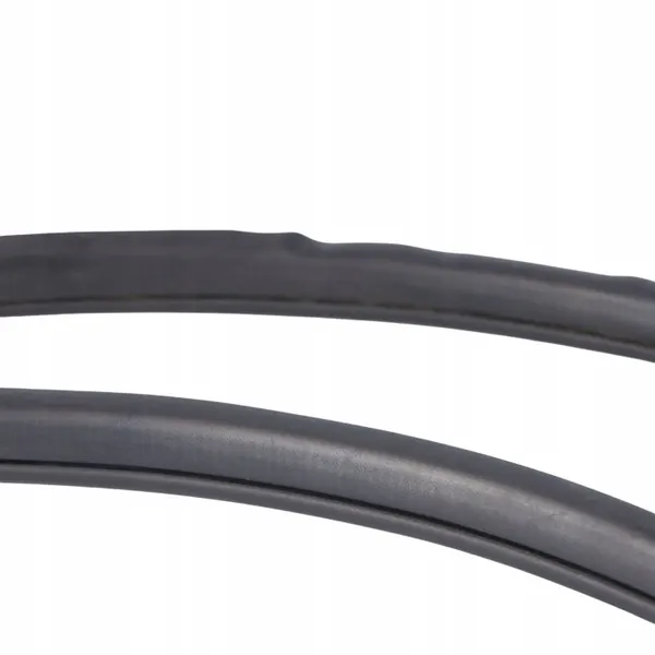 Junta puerta trasera izquierda Ford Ranger Wildtrak Mk6 OEM 1923756 image 9
