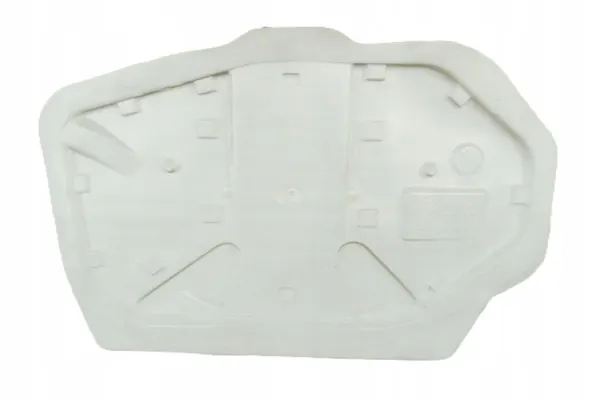 OEM 828645087R Espuma Aislante Puertas Lado Derecho image 2