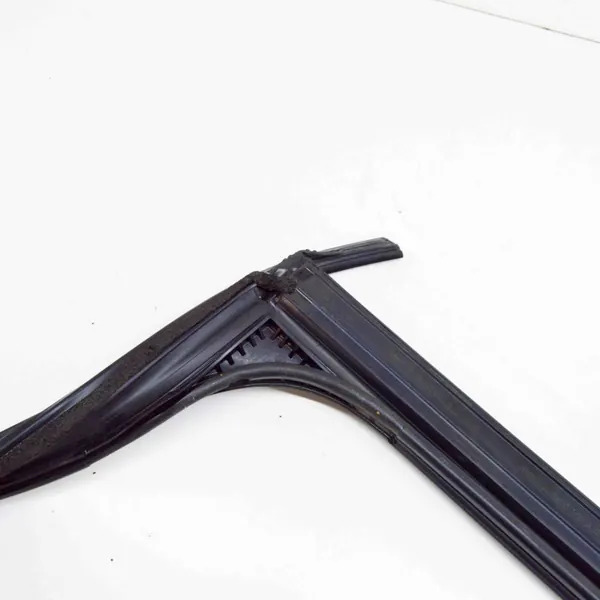 Vitre arrière gauche Tesla Model X OEM 105527597G image 4