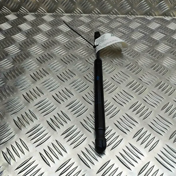 Oikea tavaratilan nostosylinteri BMW 3 (G20, G28) 7450612 image 2