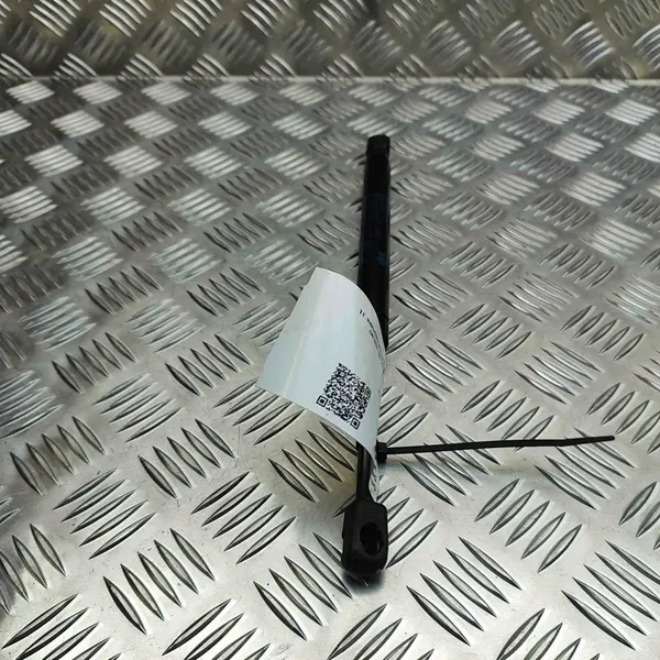 Oikea tavaratilan nostosylinteri BMW 3 (G20, G28) 7450612 image 4