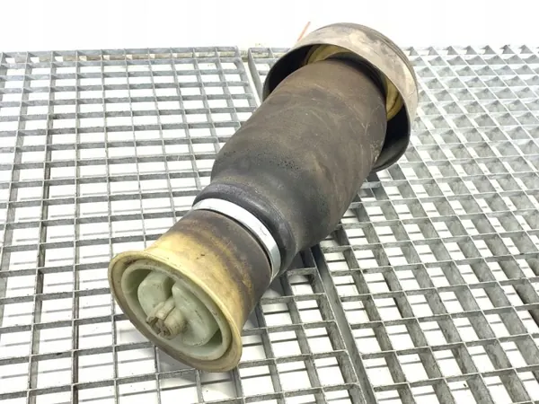 Luchtveer achter links OEM LORK-945-1108 BMW E71 SUV image 3
