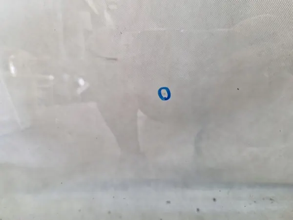 BMW X1 F48 Frontscheibe OEM image 2