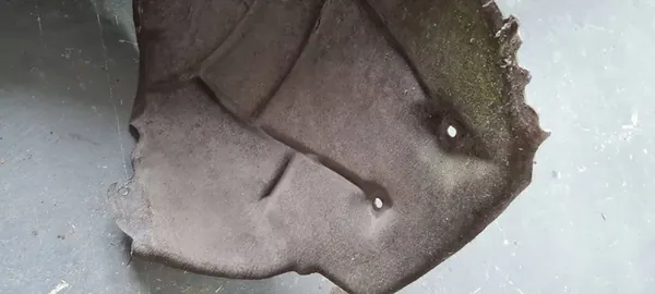 Audi A4 Passaruota Anteriore Sinistro OE VAG 8W0821171B image 2