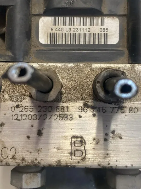 Bomba ABS OEM 0265230881 para Peugeot 3008 (2009-2013) image 10