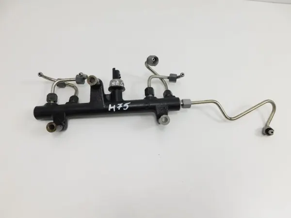 Carril de inyección OEM 9681909680 para 2.0 HDI TDCI Euro 5 image 3