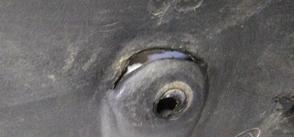 Onderste afdekking Jeep OE 58252c - Gebruikte staat image 10