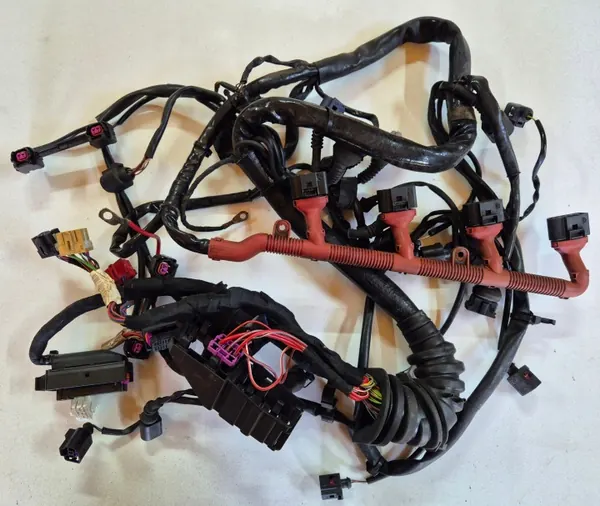 Faisceau Moteur 2.0 ALT pour Audi A4 B6 Europe image 2
