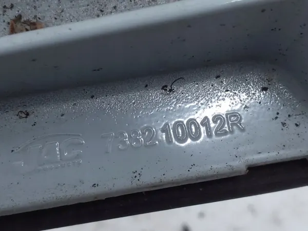 OEM 738210012R Linke Dachreling für Renault Megane III image 4