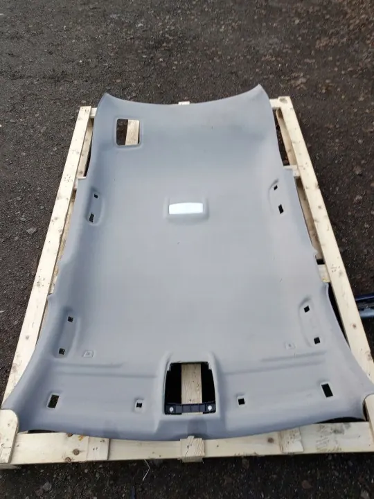 Techo BMW X1 F48 F49 usado OEM 7384221 image 2