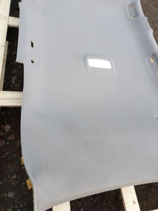 Techo BMW X1 F48 F49 usado OEM 7384221 image 7
