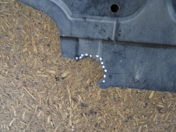 Motorplåt VW GOLF V R32 1K0825237P image 5