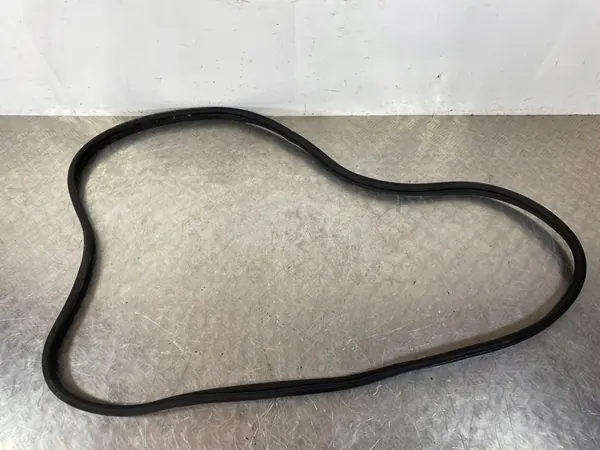 2023 KIA Sorento IV Rear Door Seal image 1