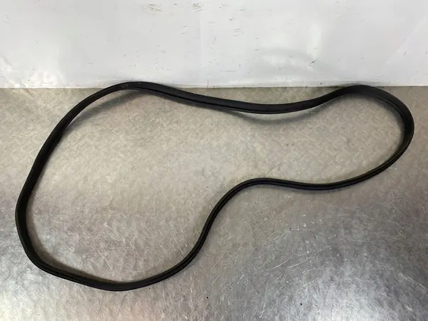 2023 KIA Sorento IV Rear Door Seal image 3