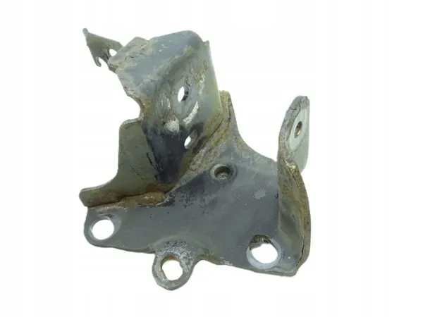 OEM RENAULT_SCENIC_III_09-16 Support d'essieu arrière droit Renault image 2