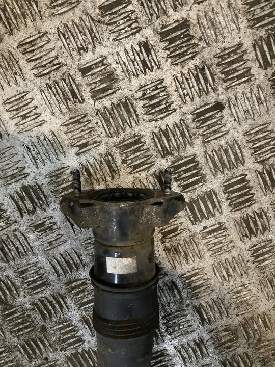 Ammortizzatore posteriore sinistro Mercedes-Benz ML W164 2007 OEM image 4