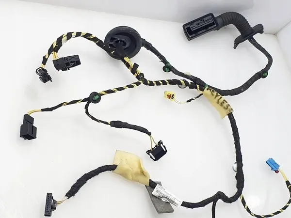 Volkswagen Tiguan II 2016 Fiação da porta direita 5NB971120CL image 2