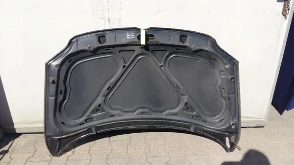 Motorhuv VW Fox 05-11 image 4