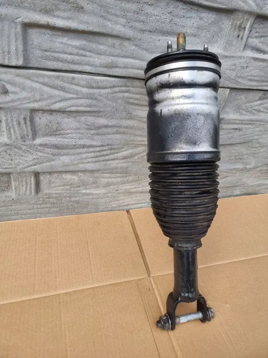 Amortisseur pneumatique avant gauche Dodge RAM V 1500 19- OEM image 8