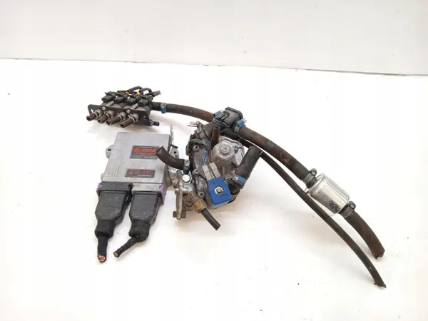 Kit d'installation GPL OEM 67R-014020 pour Hyundai image 2