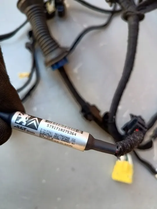 Cámara de estacionamiento Peugeot 308 T9 LIFT 9812503980 image 3