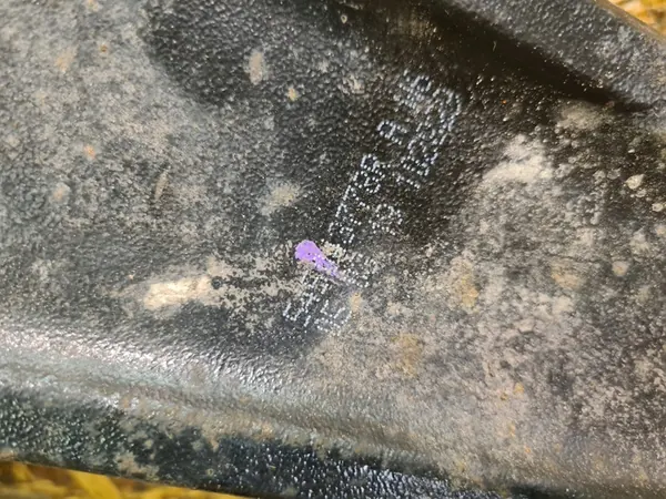 Braccio di controllo anteriore destro Renault OE image 2