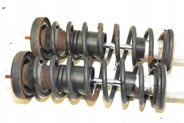 Amortizzatori posteriori BMW E39 set completo OEM 33.52-1093646 image 3