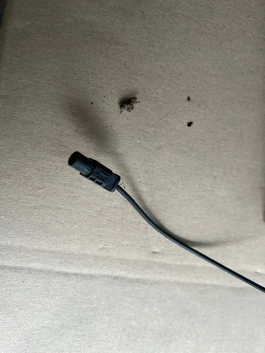 IVECO DAILY 06 Oikea Peili 5801367639 image 8