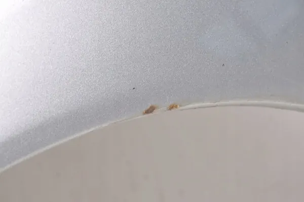 Parafango anteriore sinistro Volvo V50 31297540 image 5