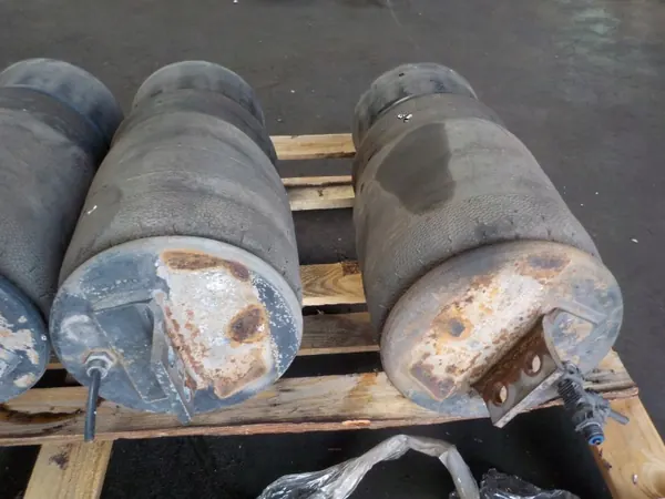 Coussin de suspension arrière STRALIS - Pièce OEM image 3