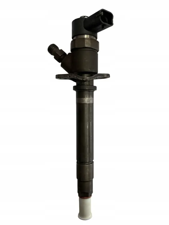 Einspritzdüse OEM 0445110078 für Volvo 2.4D image 3
