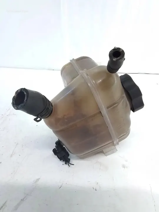 Opel Insignia A Kühlmittel-Ausgleichsbehälter 13220123 image 2