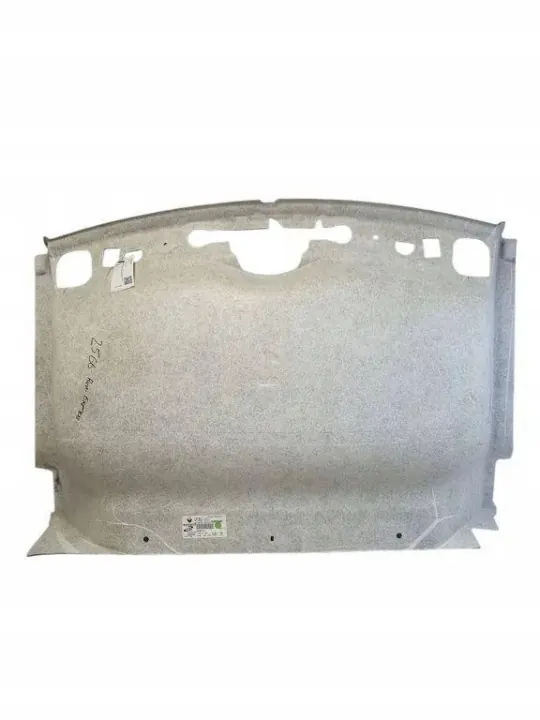 Renault OE 572116610 Teto para Renault Express 2021 image 4