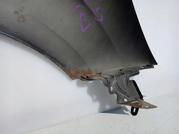 Fram Vänster Skärm Citroen C3 II DS 3 image 4