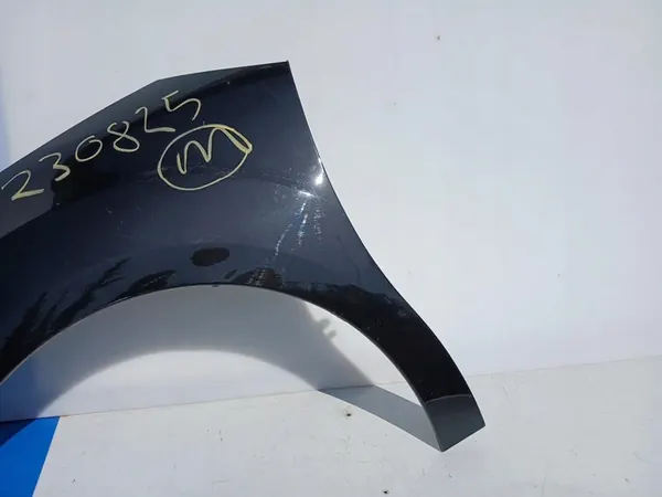 Fram Vänster Skärm Citroen C3 II DS 3 image 5