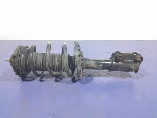 OEM Lochow-326583- Stoßdämpfer vorne links image 2