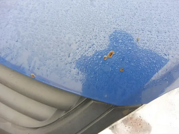 Motorhuv VW Fox image 4