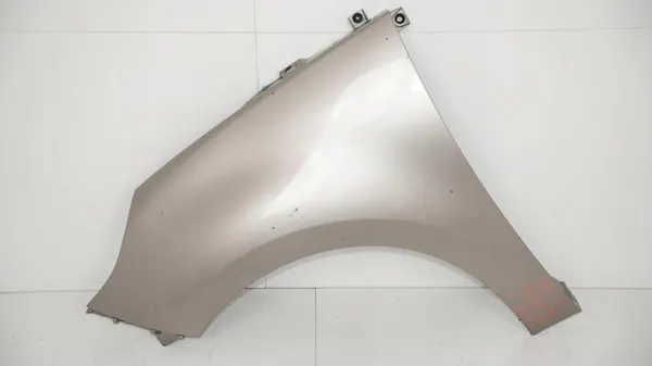 Para-lamas dianteiro esquerdo OEM 360203687 Renault Scenic III image 2
