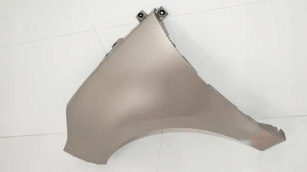 Para-lamas dianteiro esquerdo OEM 360203687 Renault Scenic III image 3