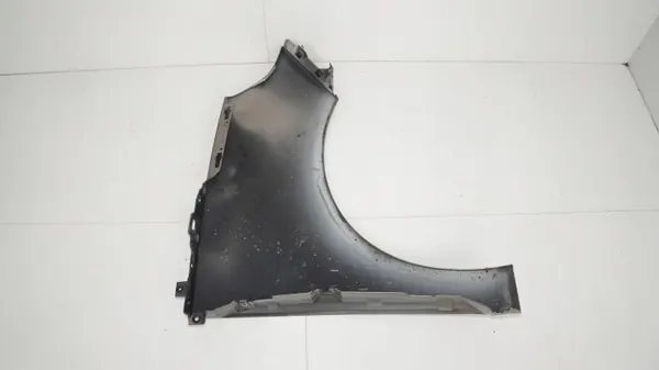 Para-lamas dianteiro esquerdo OEM 360203687 Renault Scenic III image 7