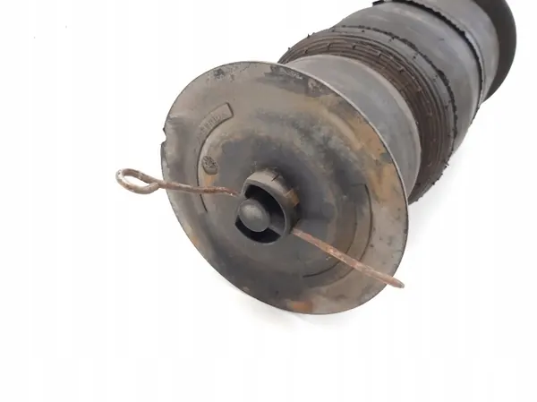 Bakluftfjädring Land Rover Range Rover P38A OEM E3115300133 image 6