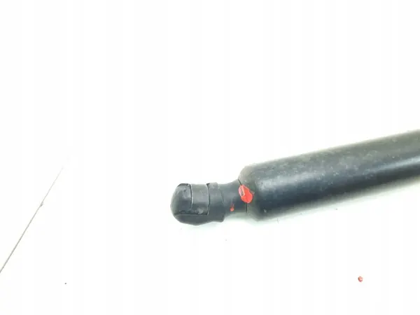 Baklucka stötdämpare 7H0827550 image 6