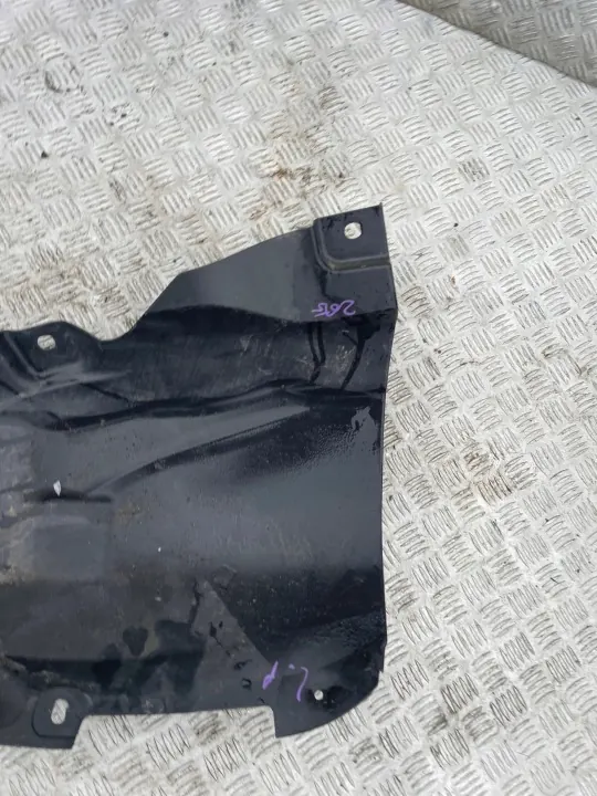 OEM 638455696R Fram vänster stänkskärm Renault Zoe II image 4