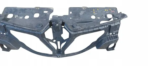 Renault OE 620902271R Radiator Grille Mounting image 3