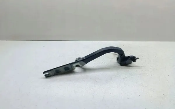 Bisagra derecha maletero OEM 7295643 BMW 3 GT F34 image 2