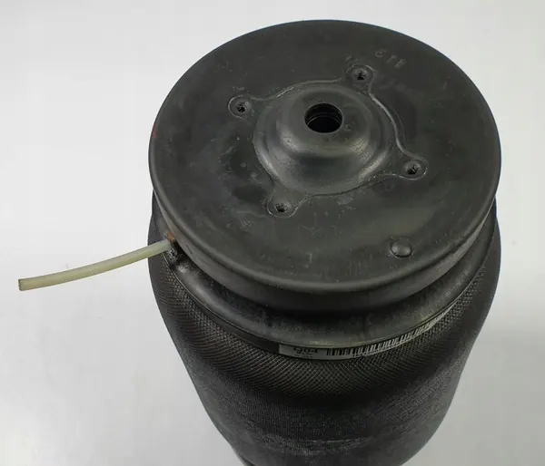 Muelle Airmatic Trasero Izquierdo OEM A1643200725 image 3