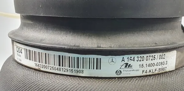 Muelle Airmatic Trasero Izquierdo OEM A1643200725 image 4
