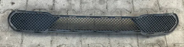 Griglia paraurti anteriore BMW X1 E84 image 5