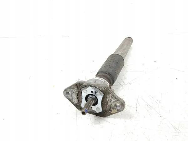 Ammortizzatore posteriore Porsche Panamera 2012 97033316107 image 3